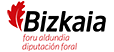 Bizkaia foru aldundia