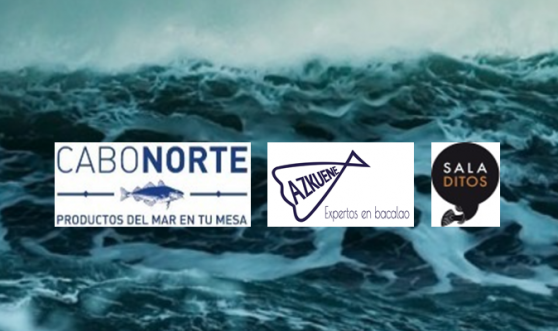 GRUPO CABO NORTE ha dado entrada en su capital a la empresa islandesa VISIR HF