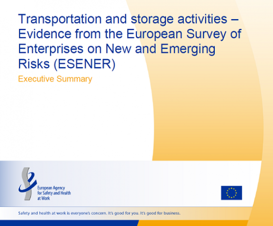 Publicado el informe elaborado por IKEI para la Agencia Europea para la Salud y la Seguridad en el Trabajo (EU-OSHA) sobre salud y seguridad en el trabajo en el sector del transporte y el almacenamiento