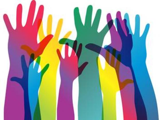 Diagnóstico para identificar las Vulneraciones de Derechos de las Personas LGTBI